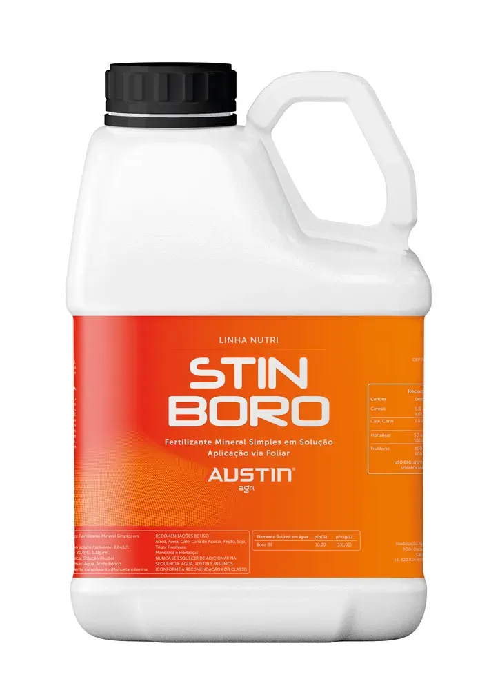 Stin Boro